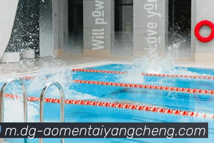 太阳城网站APP 体育赛事宣传图